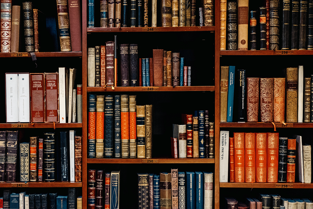 shelf of worn books