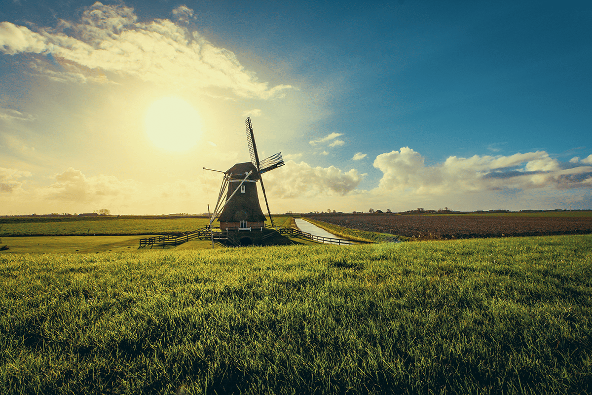 windmill in large field of grass