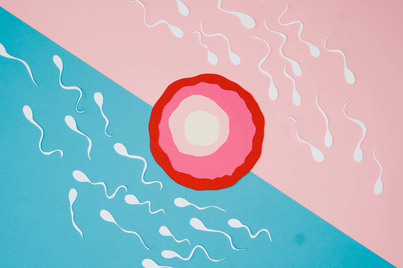 cartoon drawing of sperm around an egg