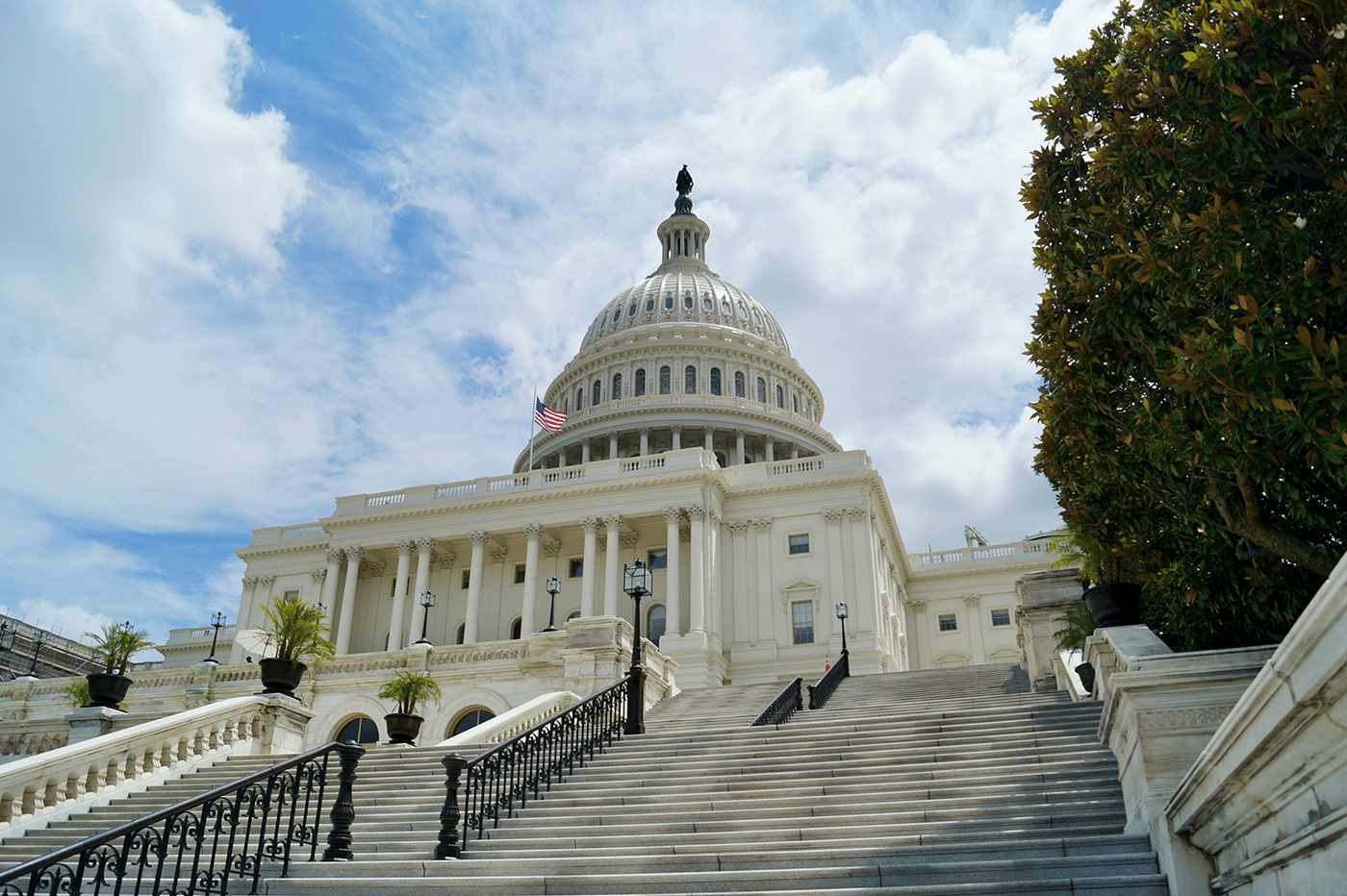 state capitol building from the stairs