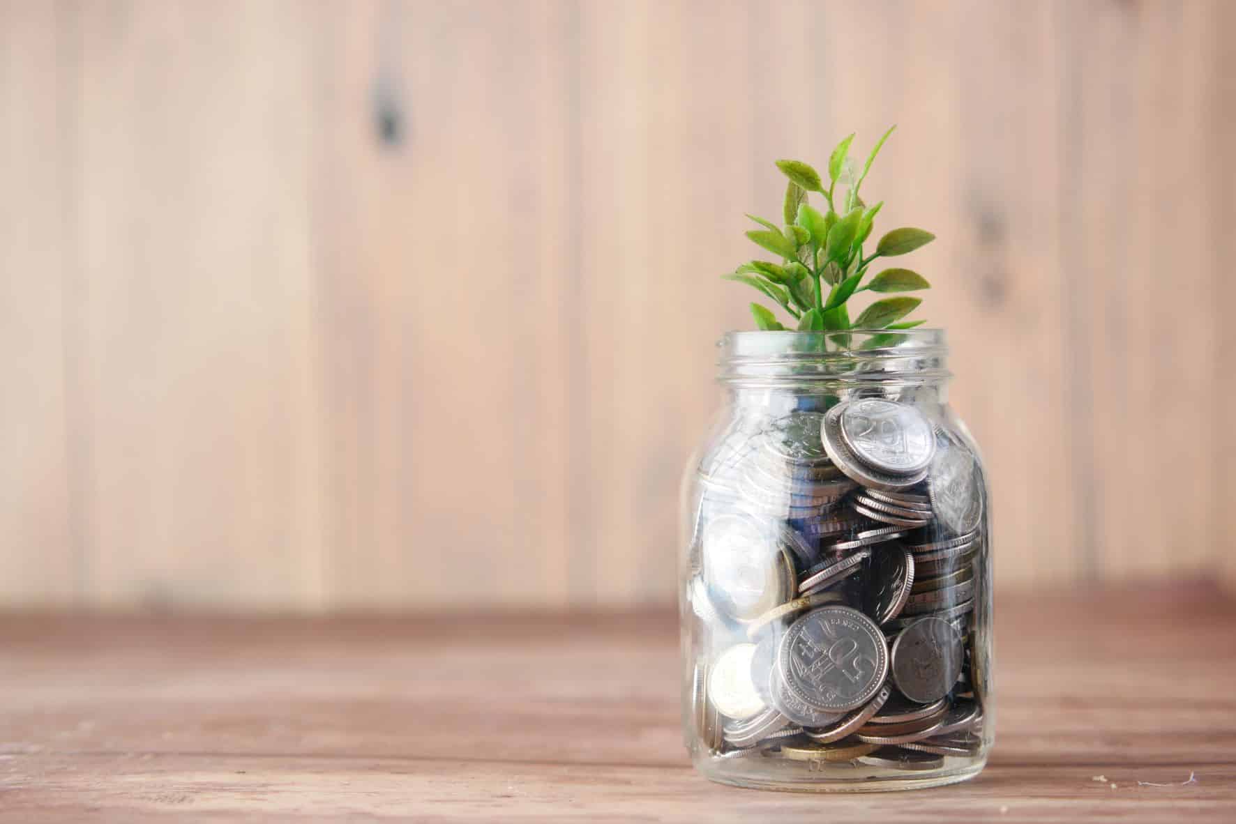 collection of coins in a jar with a green plant on top