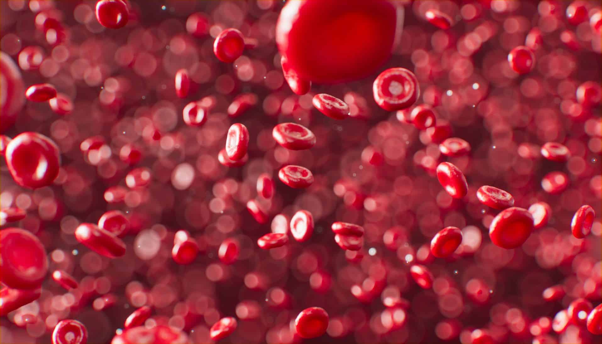 microscopic image of blood platelets