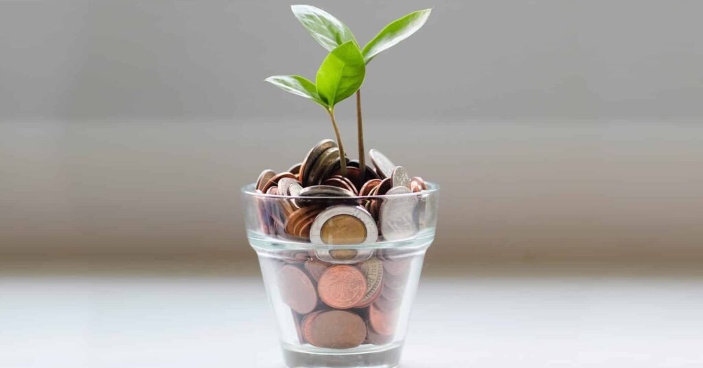 collection of coins inside a small potted plant